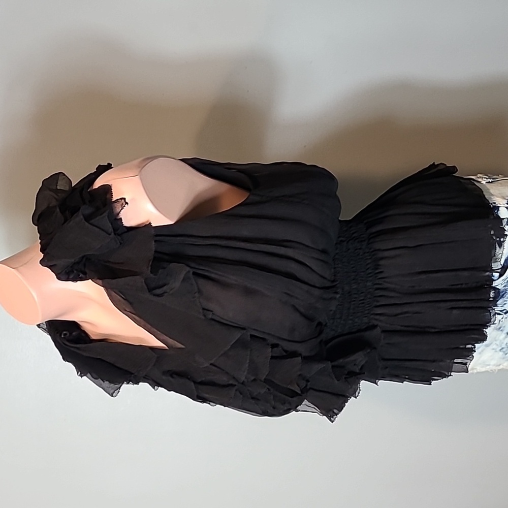 ROBBI‎ & NIKKI Sheer Silk Ruffle Top Vintage Victorian Y2K Size Small Fairy Goth - Picture 4 of 10